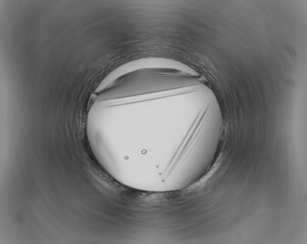 X0000111160186200907281201