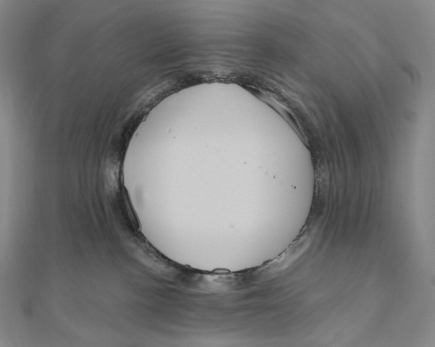 X0000111160188200907281201