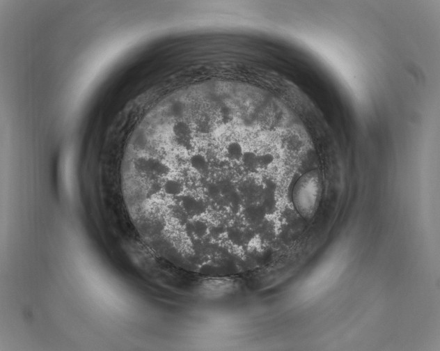 X0000111160189200907281201