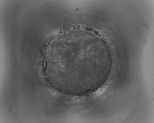 X0000111160192200907281201