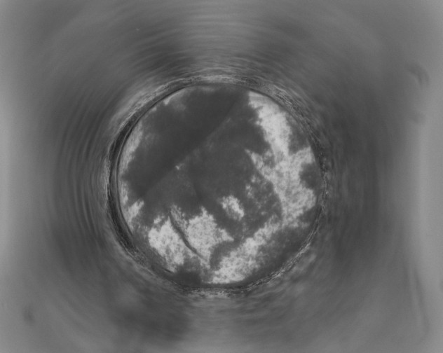 X0000111160194200907281200