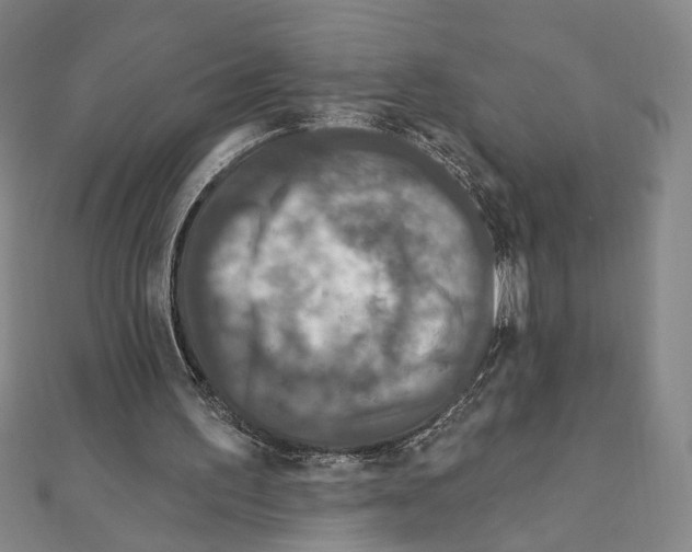 X0000111160195200907281200