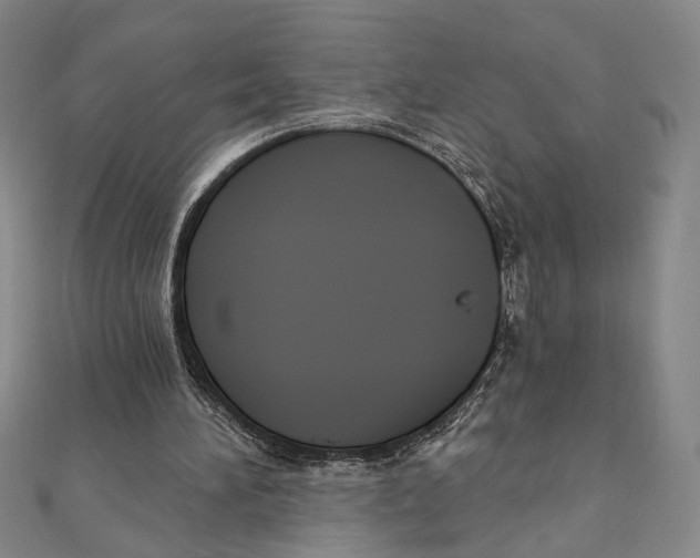 X0000111160196200907281200
