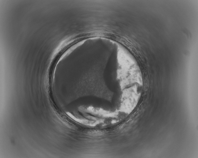 X0000111160198200907281200