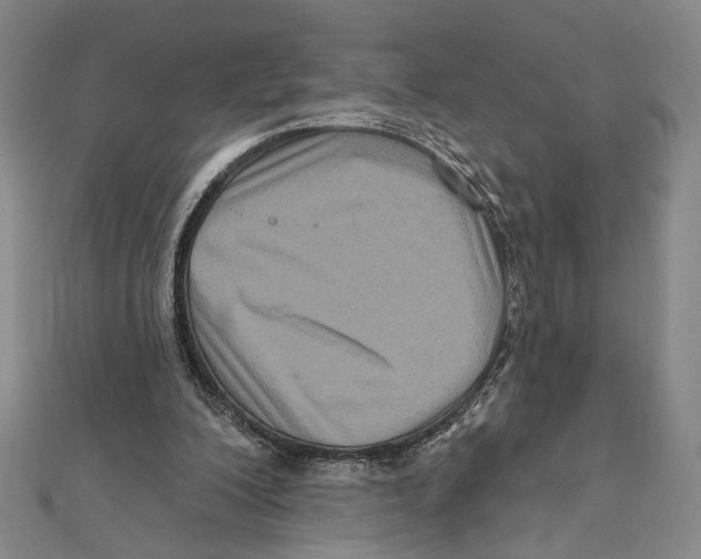 X0000111160200200907281200