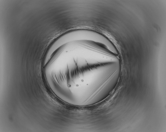 X0000111160201200907281200