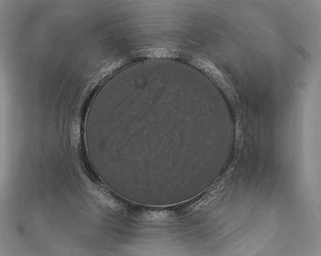X0000111160202200907281200