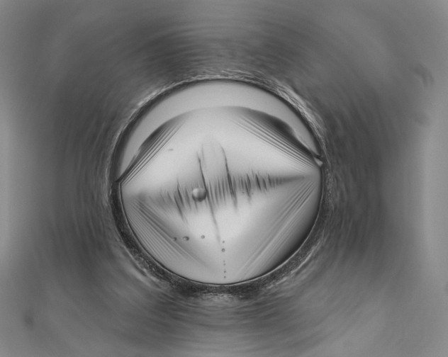 X0000111160203200907281200
