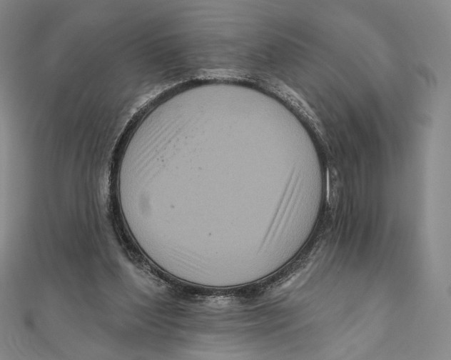 X0000111160204200907281200