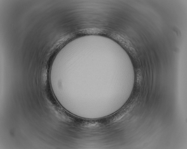 X0000111160206200907281200