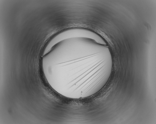 X0000111160207200907281200