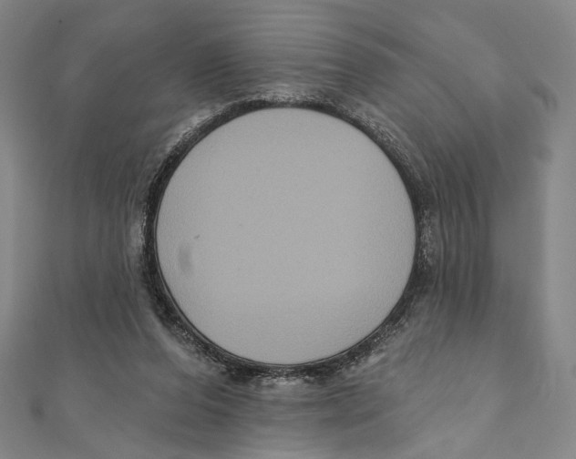 X0000111160208200907281200
