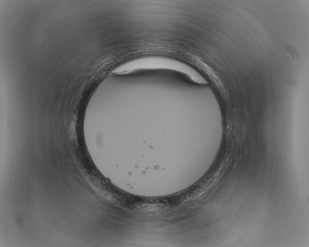 X0000111160209200907281200