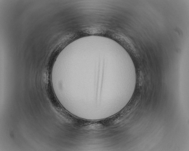 X0000111160210200907281200