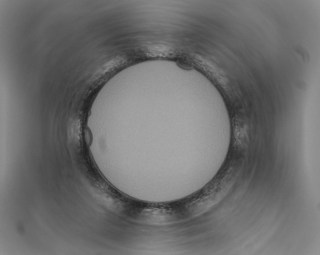 X0000111160211200907281200