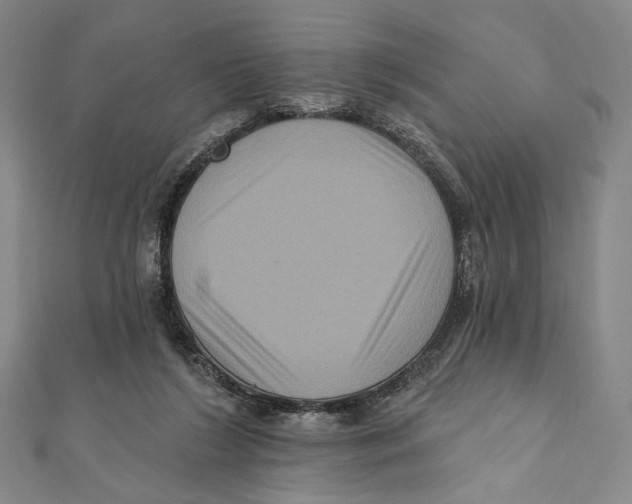 X0000111160212200907281200