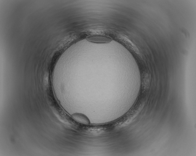 X0000111160213200907281200