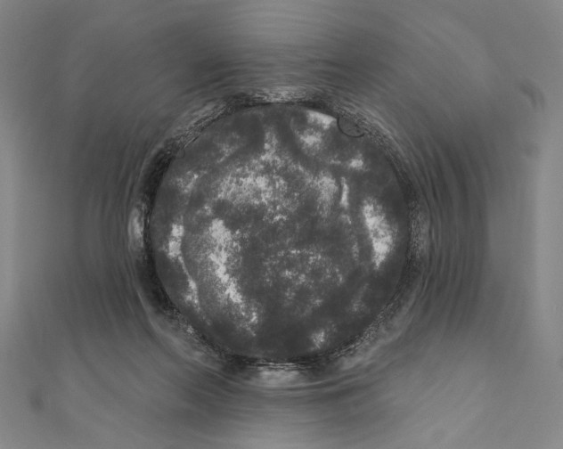 X0000111160214200907281200
