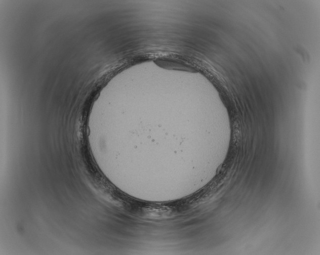 X0000111160215200907281200