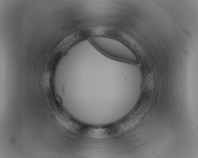 X0000111160217200907281200
