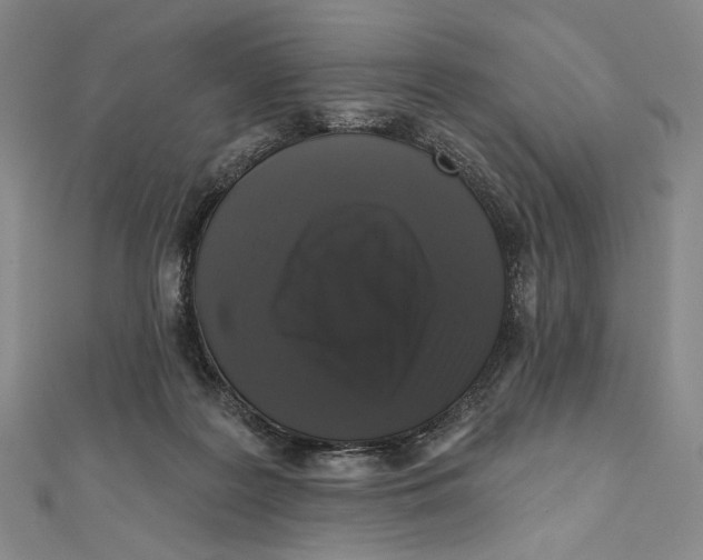 X0000111160219200907281200