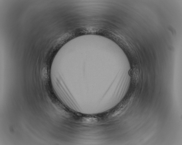 X0000111160220200907281200
