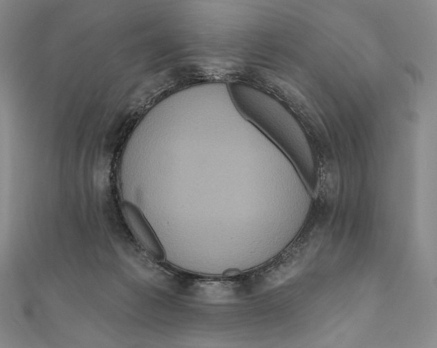 X0000111160221200907281200