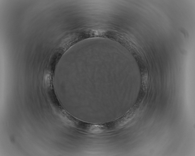 X0000111160222200907281200