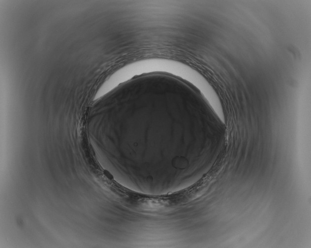 X0000111160223200907281200