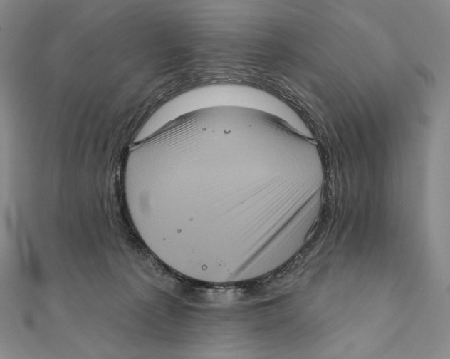 X0000111160225200907281200