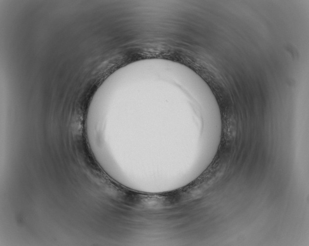 X0000111160226200907281200