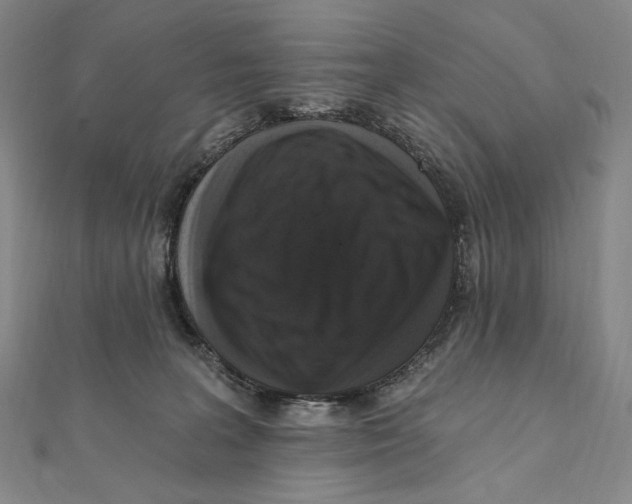 X0000111160227200907281200
