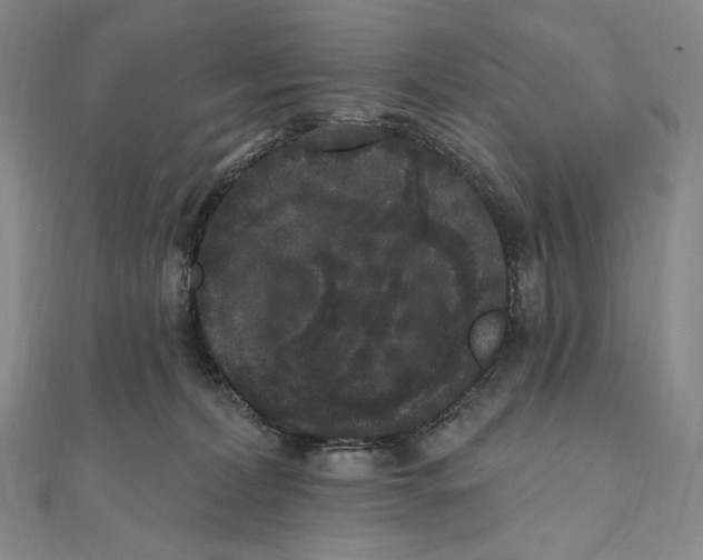 X0000111160228200907281200