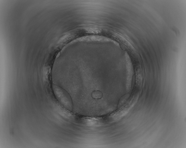 X0000111160229200907281159