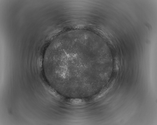 X0000111160230200907281159