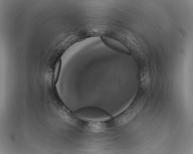 X0000111160231200907281159