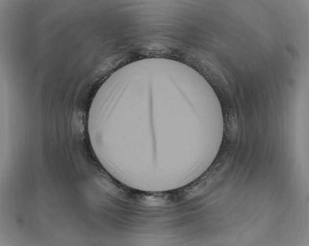 X0000111160232200907281159