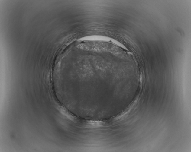 X0000111160233200907281159