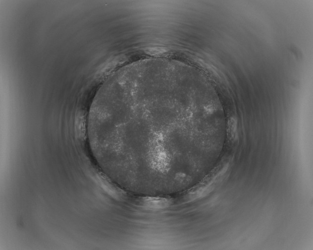 X0000111160234200907281159