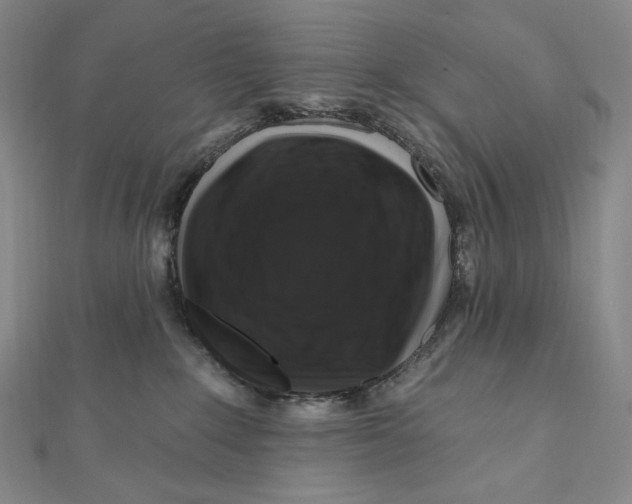 X0000111160235200907281159