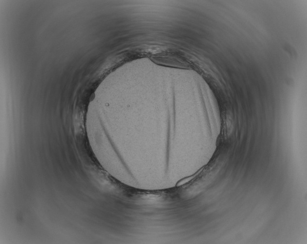 X0000111160236200907281159