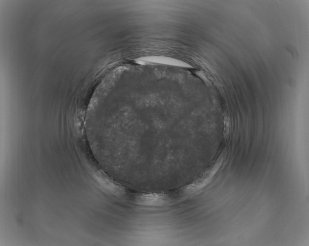 X0000111160237200907281159