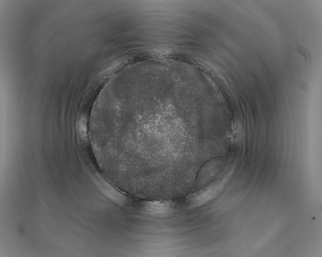 X0000111160238200907281159