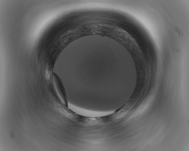 X0000111160239200907281159