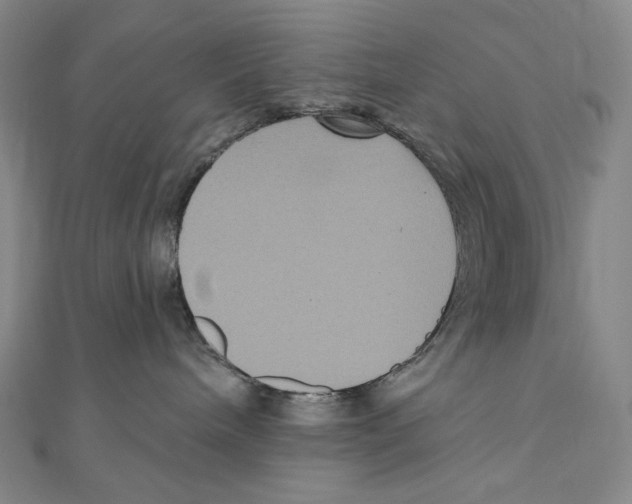 X0000111160240200907281159