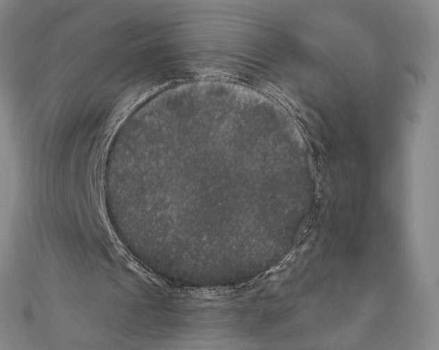 X0000111160241200907281159