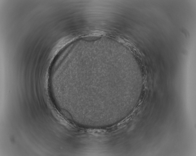 X0000111160242200907281159
