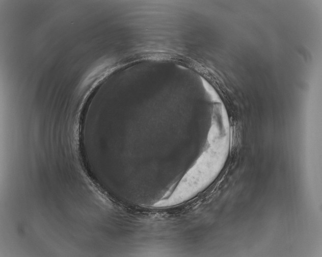 X0000111160243200907281159