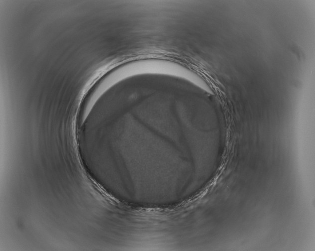 X0000111160244200907281159