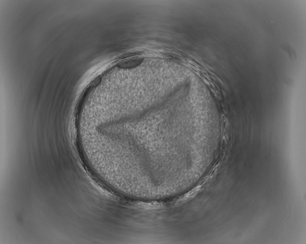 X0000111160245200907281159